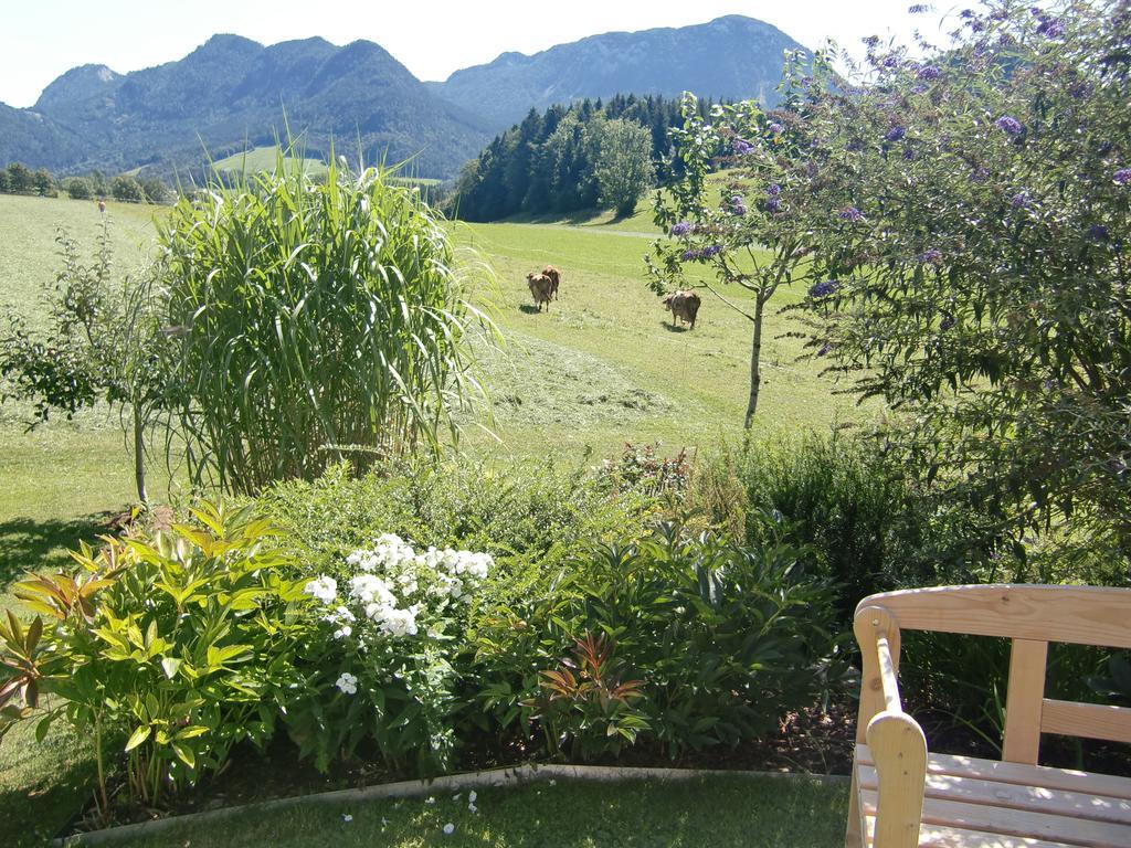Ferienwohnung Haus Brandstaetter Grundlsee Exterior foto